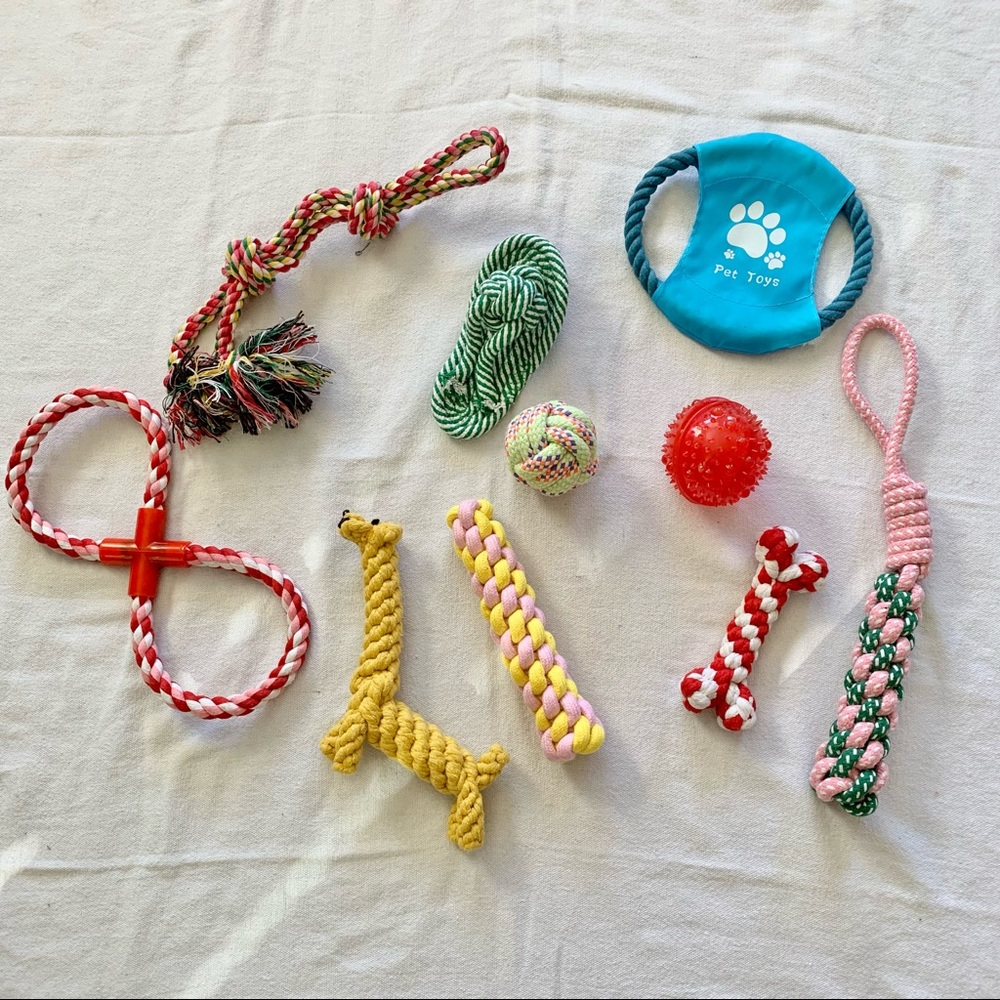 10 Piece Doggy Toy Bundle for Small Puppy NWT